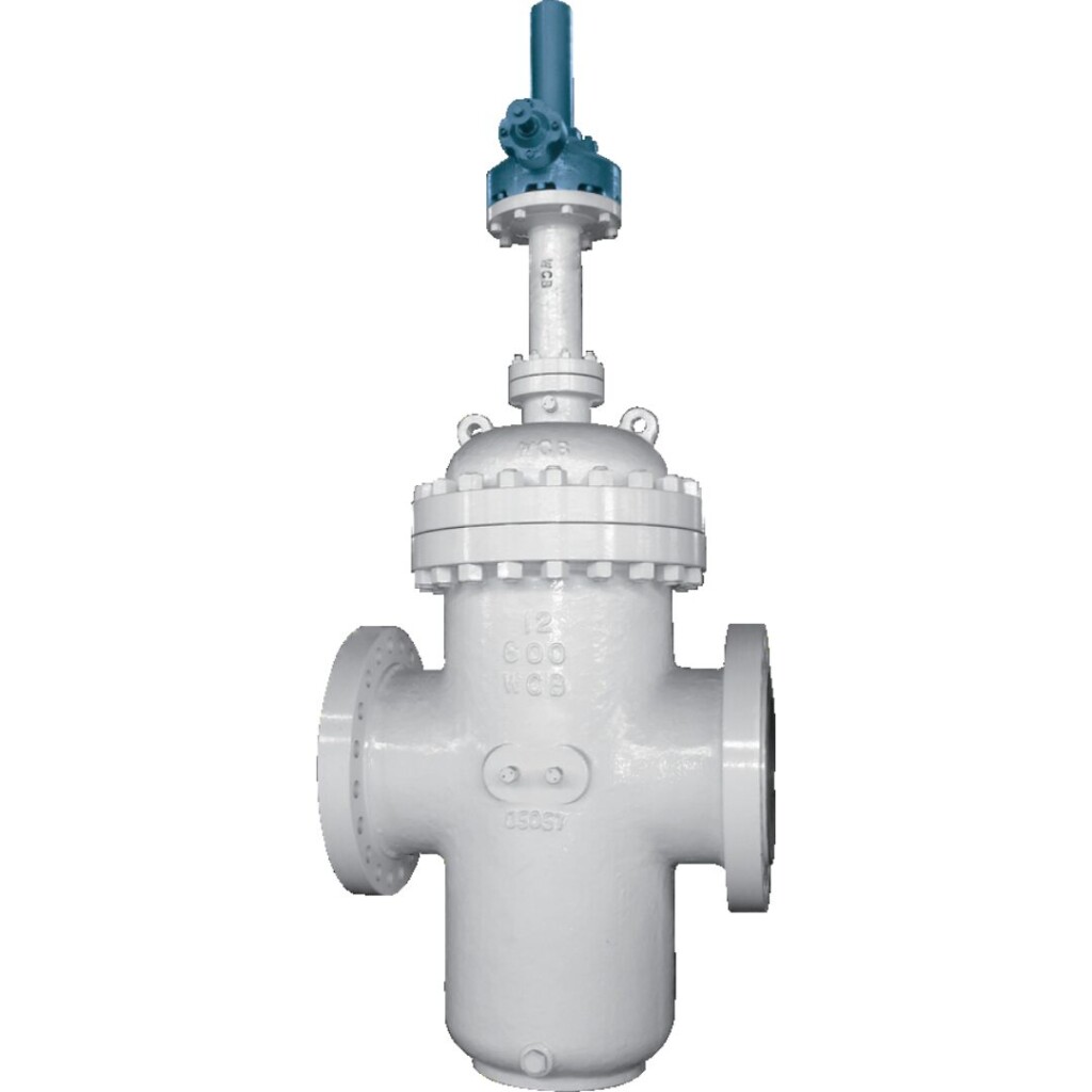 Gate valve1